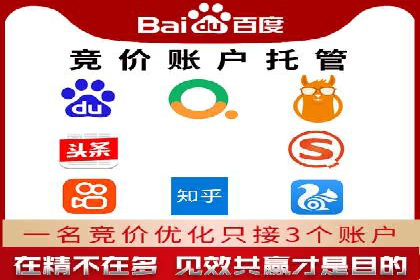 实战经验：竞价推广公司成功案例解析